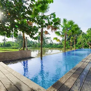 https://nayaka-living-ubud.ubudhotelsnow.com